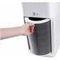 Oro valytuvas Xiaomi Mi Air Purifier 3H FJY4031GL kaina ir informacija | Oro valytuvai | pigu.lt