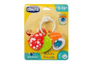Погремушка -прорезыватель для зубов Друзья природы Chicco цена и информация | Игрушки для малышей | pigu.lt