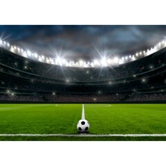 Fototapetai - Futbolo stadionas kaina ir informacija | Fototapetai | pigu.lt