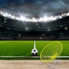 Fototapetai - Futbolo stadionas цена и информация | Фотообои | pigu.lt