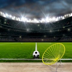 Fototapetai - Futbolo stadionas kaina ir informacija | Fototapetai | pigu.lt