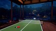 Ping Pong Pro VR PS4 kaina ir informacija | Kompiuteriniai žaidimai | pigu.lt