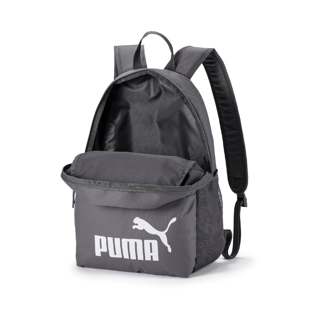 Kuprinė Puma Phase, 22l, pilka kaina ir informacija | Kuprinės ir krepšiai | pigu.lt