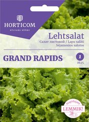Салат листовой Grand Rapids 3г цена и информация | Семена овощей, ягод | pigu.lt