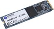 Kingston SA400M8/480G kaina ir informacija | Vidiniai kietieji diskai (HDD, SSD, Hybrid) | pigu.lt