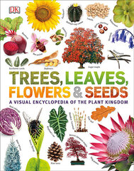 Trees, Leaves, Flowers & Seeds : A visual encyclopedia of the plant kingdom цена и информация | Романы | pigu.lt