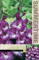Гладиолусы Anouk, 7 шт. цена и информация | Луковицы цветов | pigu.lt