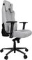 Žaidimų kėdė Arozzi VERNAZZA-SFB-LG, pilka kaina ir informacija | Biuro kėdės | pigu.lt