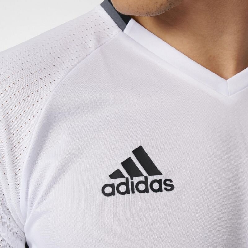 Marškinėliai vyrams Adidas kaina ir informacija | Sportinė apranga vyrams | pigu.lt