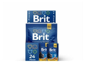 Brit Premium konservai katėms maišelyje Salmon&Trout 100g x 24vnt kaina ir informacija | Konservai katėms | pigu.lt