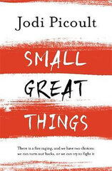 Small Great Things : The bestselling novel you won't want to miss kaina ir informacija | Romanai | pigu.lt