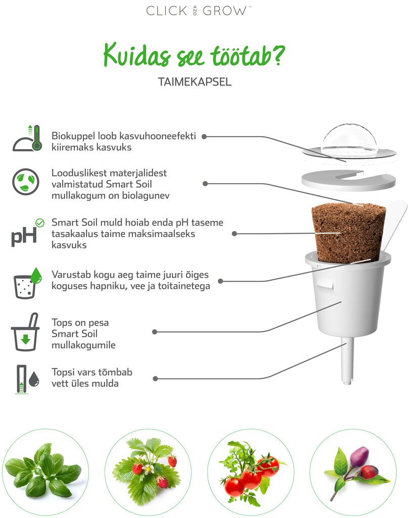 Click & Grow SGR13X3 kaina ir informacija | Daigyklos, lempos augalams | pigu.lt