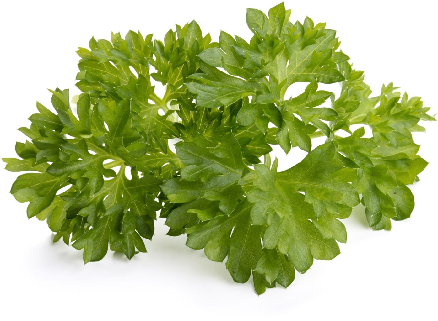 Click & Grow SGR13X3 kaina ir informacija | Daigyklos, lempos augalams | pigu.lt