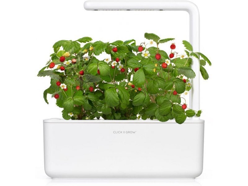 Click & Grow SGR24X3 kaina ir informacija | Daigyklos, lempos augalams | pigu.lt