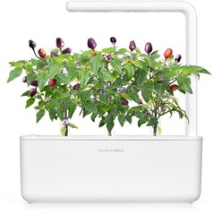 Click & Grow Smart Garden refill Фиолетовый чили перец 3 штуки цена и информация | Проращиватели, лампы для растений | pigu.lt