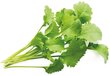 Click & Grow SGR44X3 kaina ir informacija | Daigyklos, lempos augalams | pigu.lt