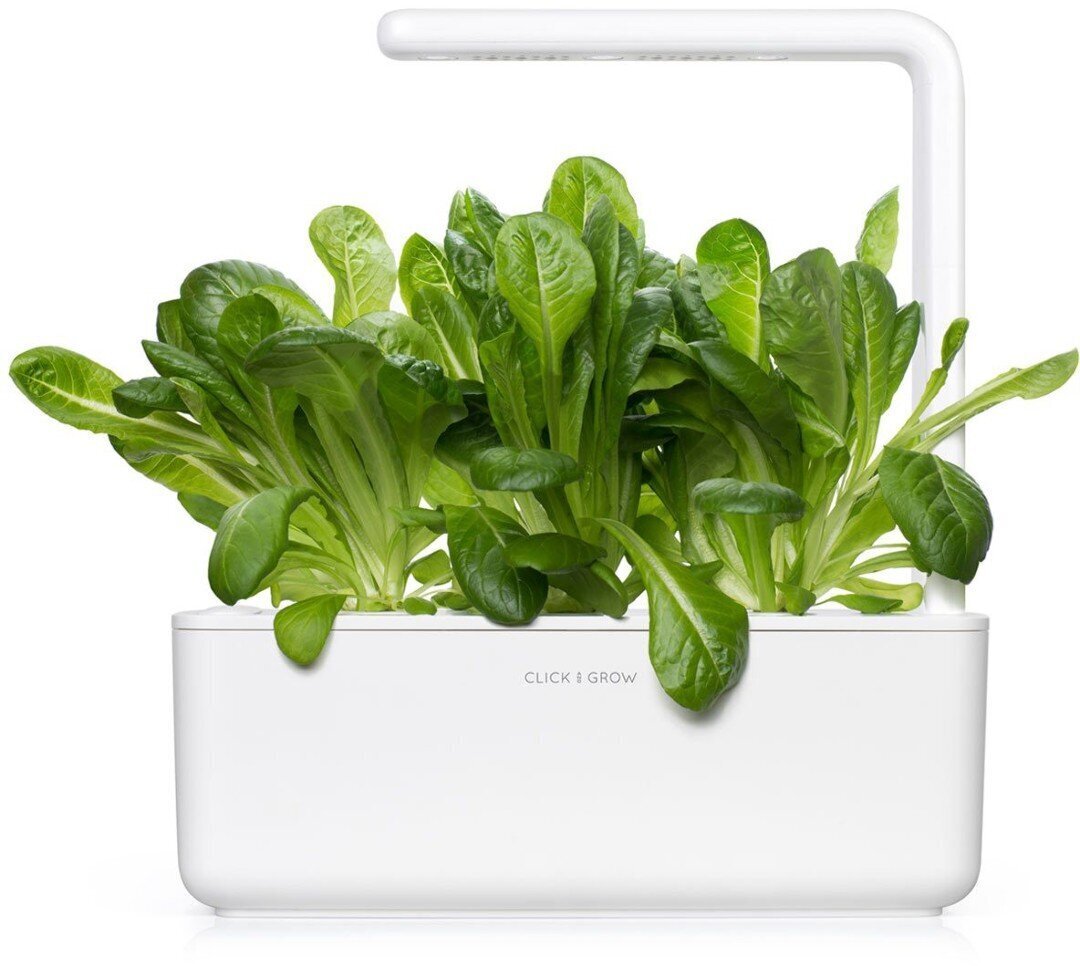 Click & Grow SGR50X3 kaina ir informacija | Daigyklos, lempos augalams | pigu.lt