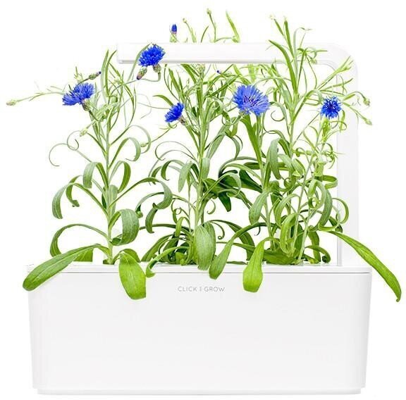 Click & Grow SGR36X3 kaina ir informacija | Daigyklos, lempos augalams | pigu.lt