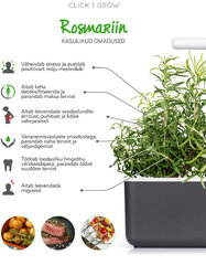 3 пакета для Smart Garden Refill от Click and Grow, розмарин цена и информация | Проращиватели, лампы для растений | pigu.lt