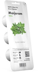 Click & Grow Smart Garden refill Майора́н 3 шт цена и информация | Проращиватели, лампы для растений | pigu.lt