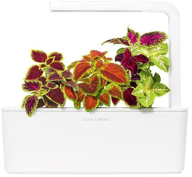 Click & Grow SGR2x3 kaina ir informacija | Daigyklos, lempos augalams | pigu.lt