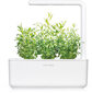 Click & Grow SGR28X3 kaina ir informacija | Daigyklos, lempos augalams | pigu.lt