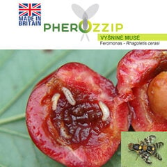 MKDS Феромон для вишнёвой мухи (Rhagoletis cerasi) Pherozzip цена и информация | Средства по уходу за растениями | pigu.lt