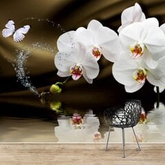 Fototapetai - Orchidėjos gurkšnis kaina ir informacija | Fototapetai | pigu.lt
