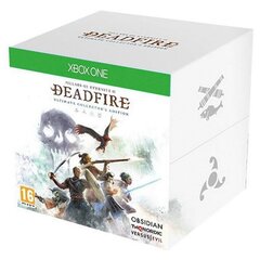 Pillars of Eternity II Deadfire ED XboxOne цена и информация | Компьютерные игры | pigu.lt