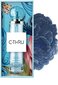 Tualetinis vanduo C-Thru Wanderlust Dream EDT moterims, 30 ml kaina ir informacija | Kvepalai moterims | pigu.lt