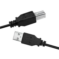 Logilink USB cable USB 2.0 A to B 2x mal цена и информация | Кабели и провода | pigu.lt