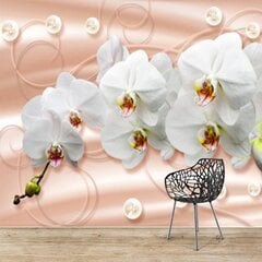 Fototapetai - Orchidėjos pasteliniame fone kaina ir informacija | Fototapetai | pigu.lt