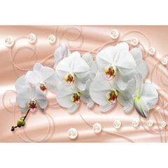 Fototapetai - Orchidėjos pasteliniame fone kaina ir informacija | Fototapetai | pigu.lt