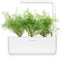 Click & Grow Smart Garden kaina ir informacija | Daigyklos, lempos augalams | pigu.lt