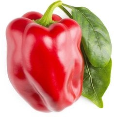 Raudonųjų saldžiųjų paprikų papildymas Click & Grow Smart Garden kaina ir informacija | Daržovių, uogų sėklos | pigu.lt