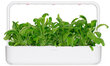 Click & Grow SGR74X3 kaina ir informacija | Daigyklos, lempos augalams | pigu.lt