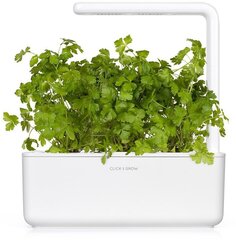 Petražolė Smart Garden Click & Grow, 3 vnt kaina ir informacija | Prieskonių sėklos | pigu.lt