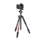 Manfrotto Element MII Red Trikojis stovas kaina ir informacija | Fotoaparato stovai | pigu.lt