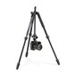 Manfrotto Element MII BK Black Trikojis stovas kaina ir informacija | Fotoaparato stovai | pigu.lt