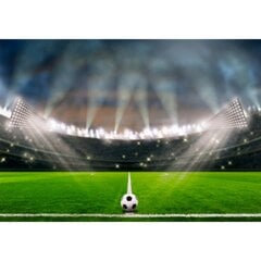 Fototapetai - Futbolo stadionas цена и информация | Фотообои | pigu.lt