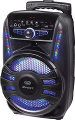 Trevi XF450 цена и информация | Аудиоколонки | pigu.lt