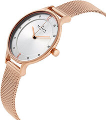 Moteriškas laikrodis Skagen Anita SKW 2151 kaina ir informacija | Moteriški laikrodžiai | pigu.lt