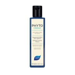 Очищающий шампунь для жирной кожи головы Phyto Phytocedrat, 200 мл цена и информация | Шампуни | pigu.lt