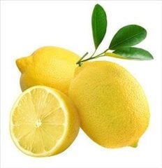 Medisana эфирное масло с ароматом лимона, 10 мл цена и информация | Аксессуары для вентиляционного оборудования | pigu.lt