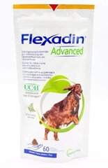 Vetoquinol papildas šunims Flexadin Advanced, 60 vnt. цена и информация | Витамины, добавки, средства от паразитов для собак | pigu.lt