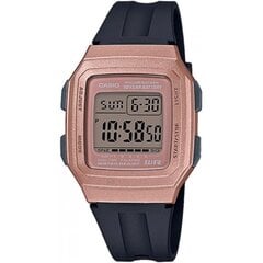 Casio Collection мужские часы цена и информация | Женские часы | pigu.lt