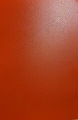 Evelatus Leather Film for Sreen Cutter Red kaina ir informacija | Apsauginės plėvelės telefonams | pigu.lt