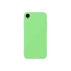Evelatus Soft Silicone Case, skirtas Apple iPhone XR, žalia kaina ir informacija | Telefono dėklai | pigu.lt