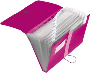 Папка-картотека А4 РР, 12 отделений, розовый цена и информация | Kanceliarinės prekės | pigu.lt