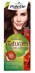 Краска для волос Palette №868, шоколадно-каштановый, 110 мл цена и информация | Краска для волос | pigu.lt